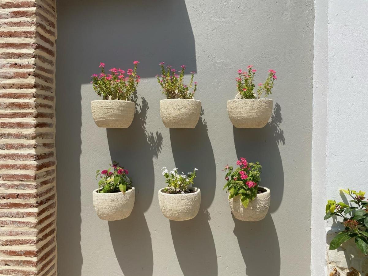 Casa Bixa Hotel Boutique - Mayores De 12 Anos - (Adults Only) Санта Фе де Антиокия Екстериор снимка